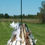 Thumbnail: Birdie Bell All Weather Nesting Material Holder and Feeder