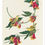 Thumbnail: John James Audubon birds images