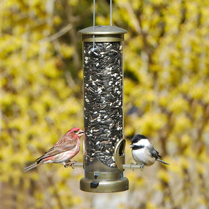 Aspects Two Port Birdfeeder is a great lifetime feeder