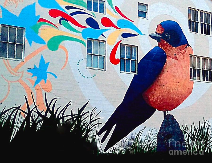 Bird mural, San Francisco, CA