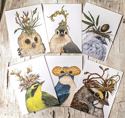 Vicki Sawyer birds wearing hats boxed notecards