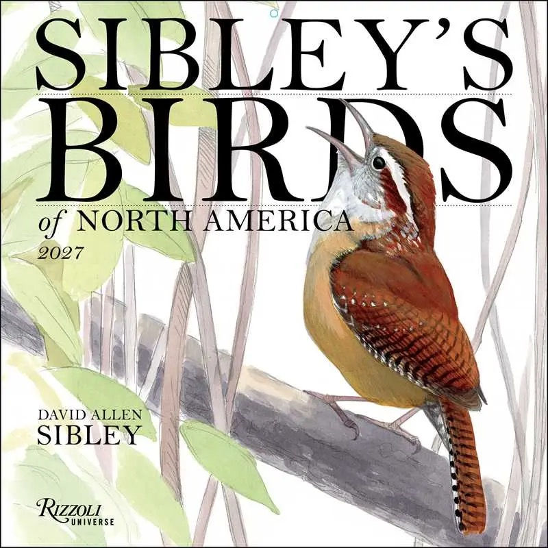 cover image of 2027 Sibley's Birds of North America calendar