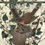 Thumbnail: bird images on 2026 wall calendar by John Ruthven