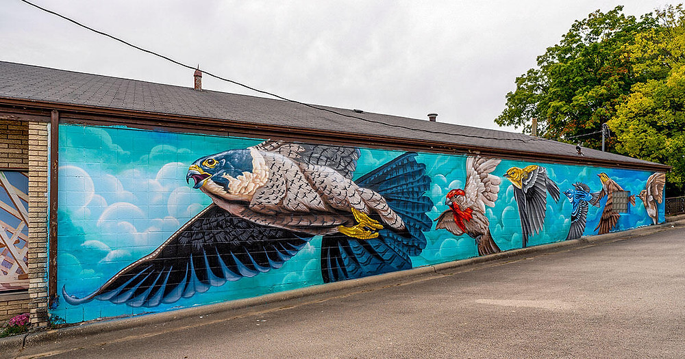 Bird mural, Rockford, Illinois (part of the Audubon Mural Project)