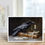 Thumbnail: black raven sitting on top of a book with candle and potion
