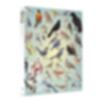image of a variety of birds on the front of a puzzle box