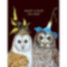 a pair of owls wearing flower hats and words what a pair we are on the front of the card