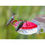 Thumbnail: window hummingbird feeder