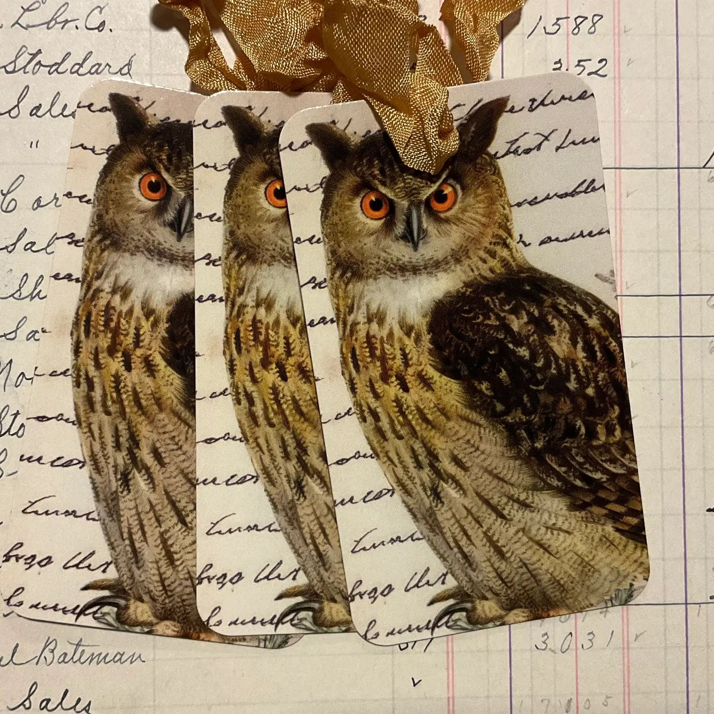 Vintage Owl Image Gift Tag