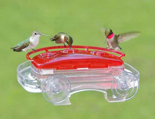 a window hummingbird feeder shown with hummingbirds feeding