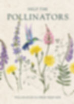 front of pollinator seed packet with hummingbird and flowers
