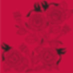 hummingbird and flower pattern on red background