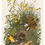 Thumbnail: John James Audubon birds images