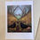 Thumbnail: two blackbirds in a woodland scene