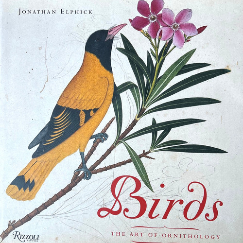 Birds : The Art of Ornithology　絶滅鳥 Birds : The Art of Ornithology 絶滅鳥