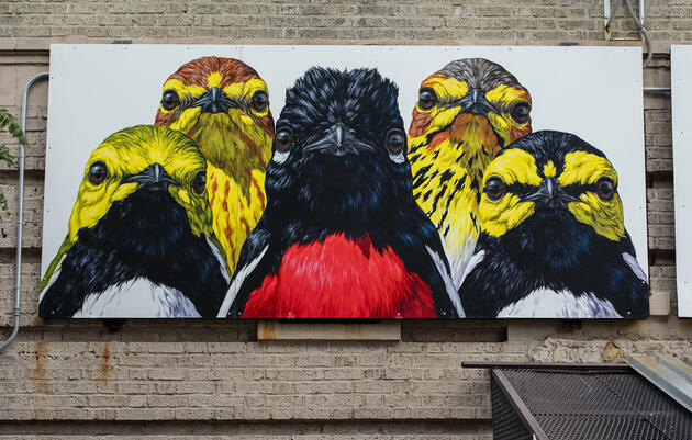 Bird mural, New York, NY