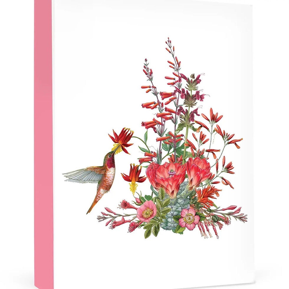 hummingbird feeding on red penstemon flowers image on boxed set of cards