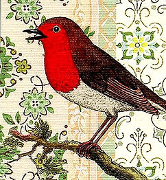 Cavallini and Company notecards