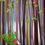 Thumbnail: Season's Greetings Notecard - Santa in the Forest