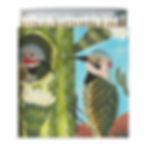 match box with image of cactus and gila woodpeckers