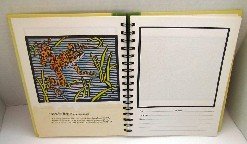 Thumbnail: The Young Naturalist's Sketchbook