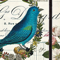 Cavallini and Company products