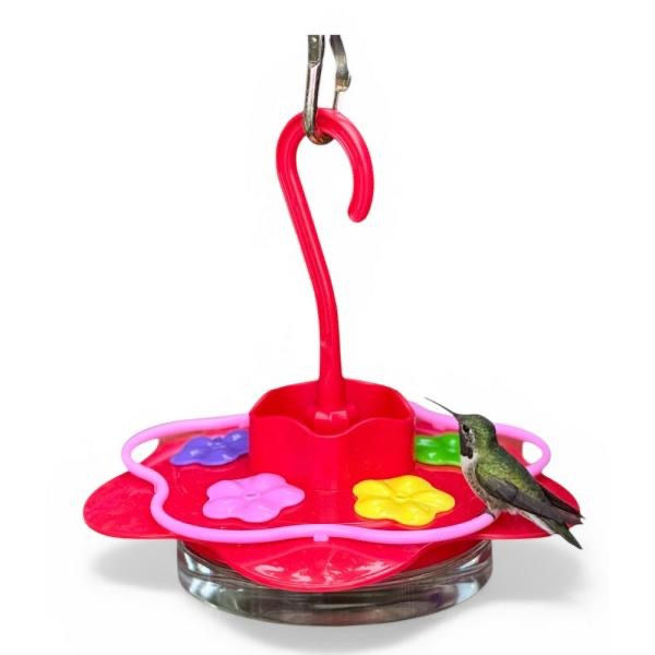 Thumbnail: saucer hummingbird feeder with colorful feeding ports