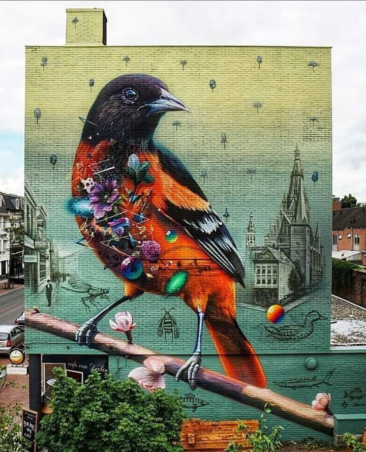 Bird mural, Nijmegen, The Netherlands