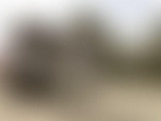 17 de Julho - Cerque-se de amigos encorajadores!