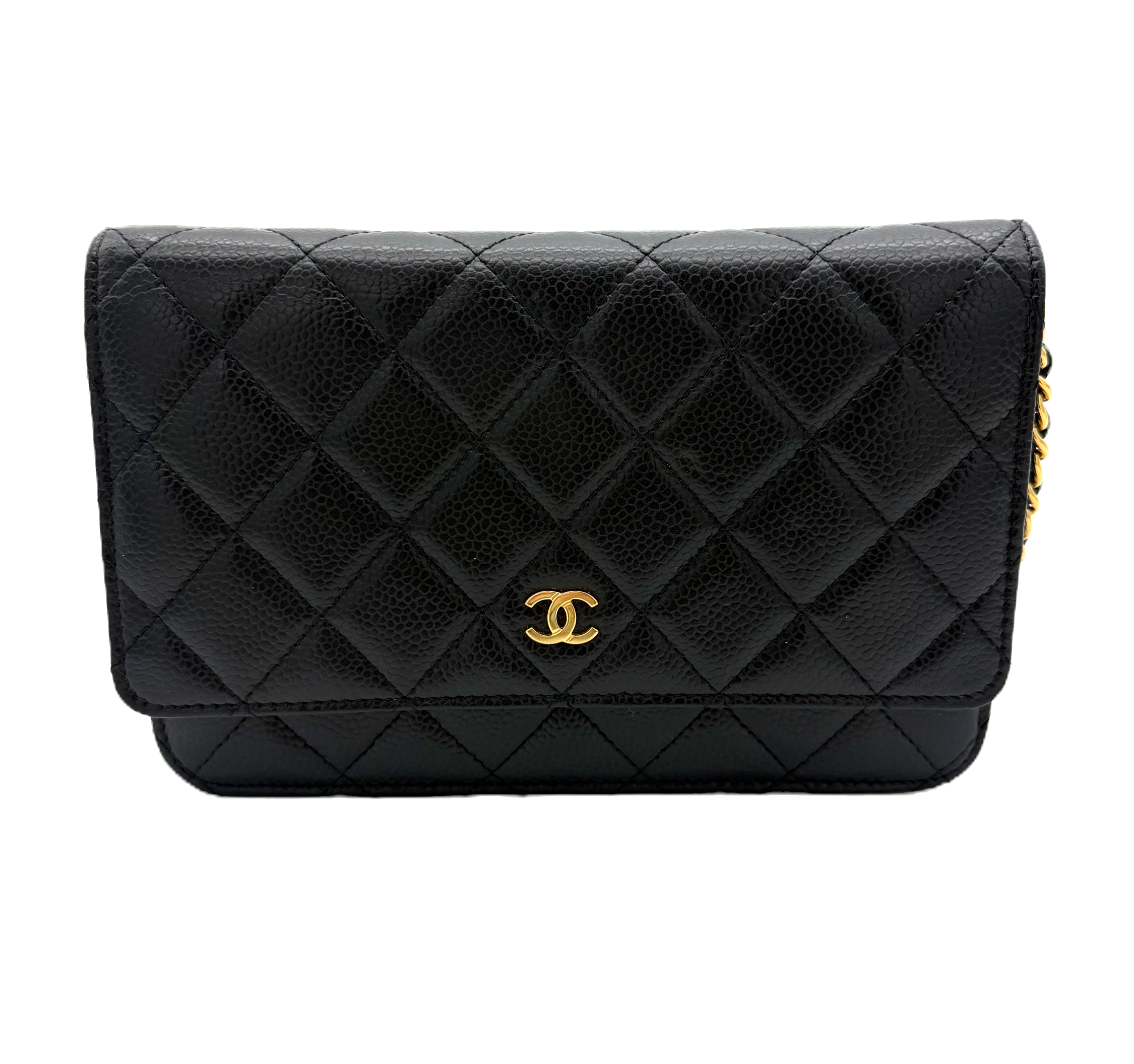 Chanel bags collection