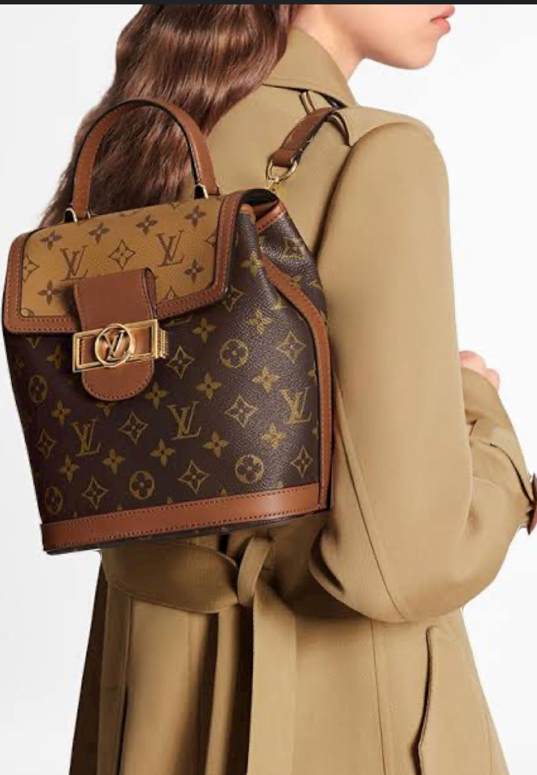 Louis Vuitton Dauphine Monogram Reverse Backpack