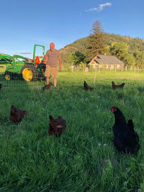 chickens and neil.jpeg