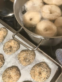bagels unbaked.jpeg