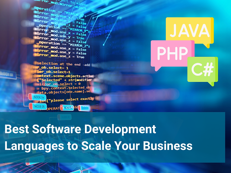 Software development languages 