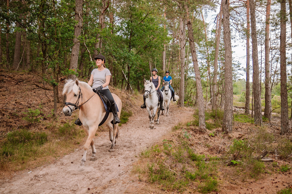 Paardrijden Samoza Veluwe & Honden Camping (31).JPG