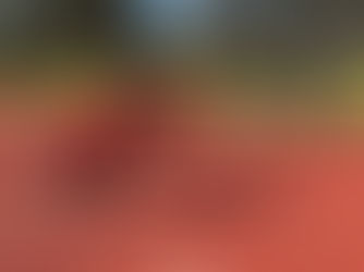 Athletics, Bookweek and more