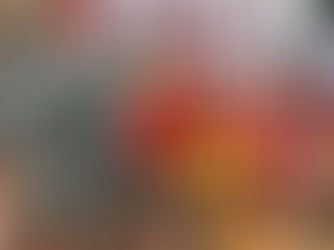 Our Japanese Visitors