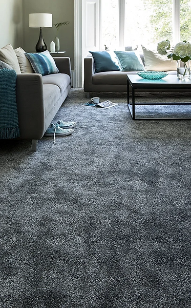 A cozy living room featuring grey carpeting complemented by blue accents in the decor and furnishings