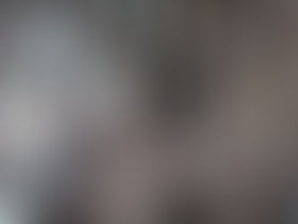 Spring in Groningen, Netherlands. Celebrating with the cherry blossoms, wild daffodils, magnolias and buckthorns.