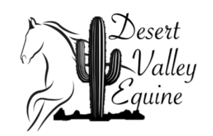 DVE Logo Background Removed.png