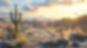 vecteezy_desert-scene-with-a-cactus-and-mountains-in-the-background_54483546.jpg