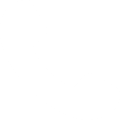 phone-call-white-icon.webp