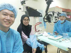 Microsurgery Course 07-11 Sept 2020