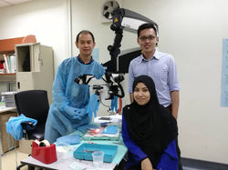 Microsurgery Course 6-10 May 2019