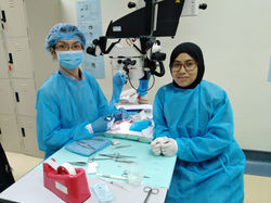 Microsurgery Course 13-17 Jan 2020