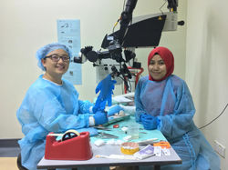 Microsurgery Course 21-25 Oct 2019