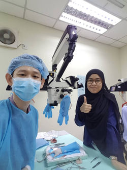 Microsurgery Course 9-13 Jan 2020