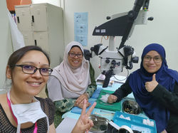 Microsurgery Course 9 - 13 Oct 2023