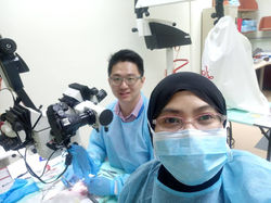 Microsurgery Course 3-7 Dec 2018