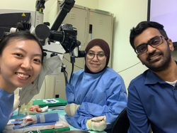 Microsurgery Course 23 - 27 Sept 2024